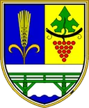 Grb občine Videm