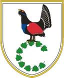 Grb občine Cerkno